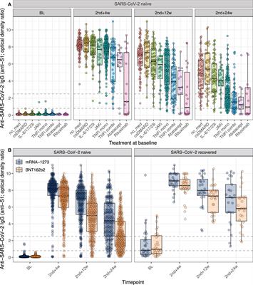 Type of mRNA COVID-19 vaccine and immunomodulatory treatment influence humoral immunogenicity in patients with inflammatory rheumatic diseases